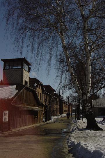 Auschwitz 005.jpg