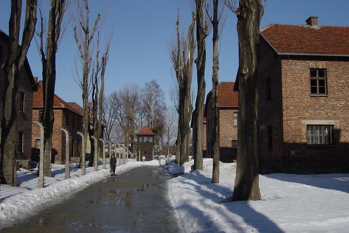 Auschwitz 030.jpg