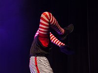 IMG 7052