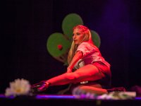 IMG 7333