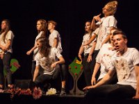 IMG 7775