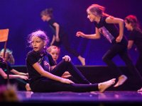 IMG 7919